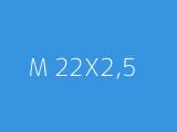 M 22X2,5 